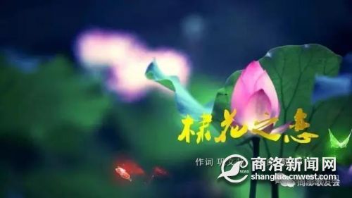 微信图片_20170725082803