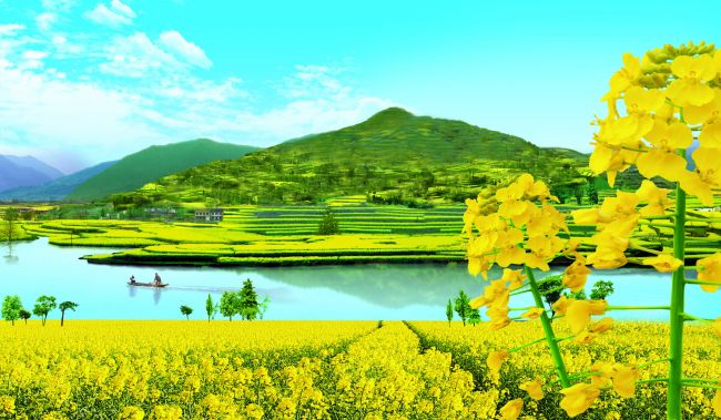 中国最美油菜花海-汉中