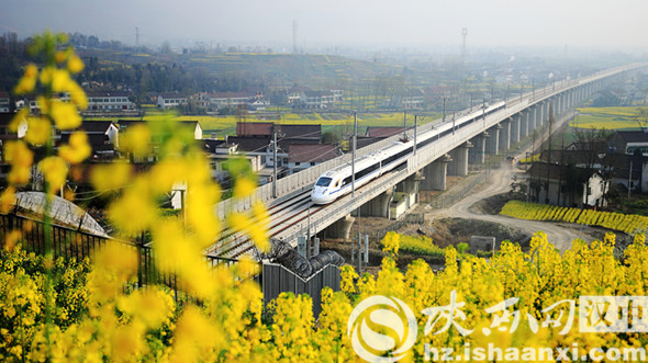 西成高铁，动车即将穿越新集站至宁强南站间的阜川隧道1