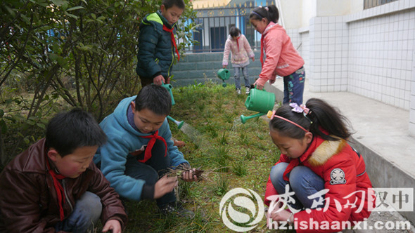 学生自发清除花坛杂草