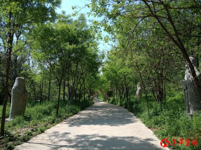微信图片_20180519144405_副本