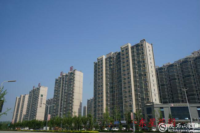 DSC03179