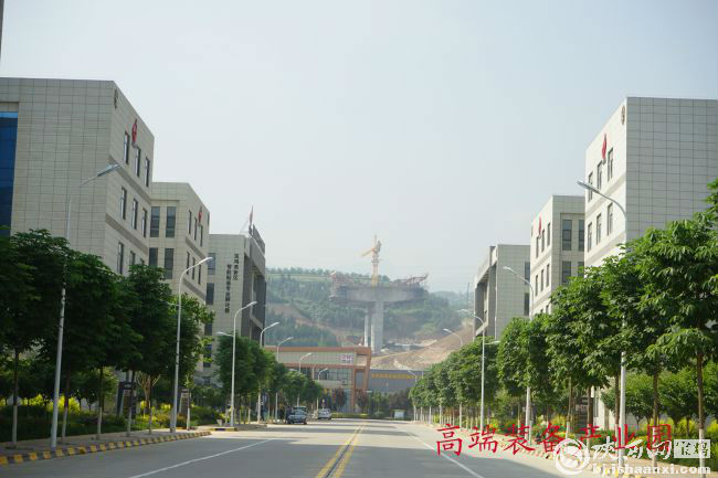 DSC03175