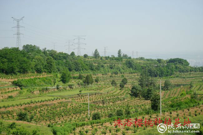 DSC03136