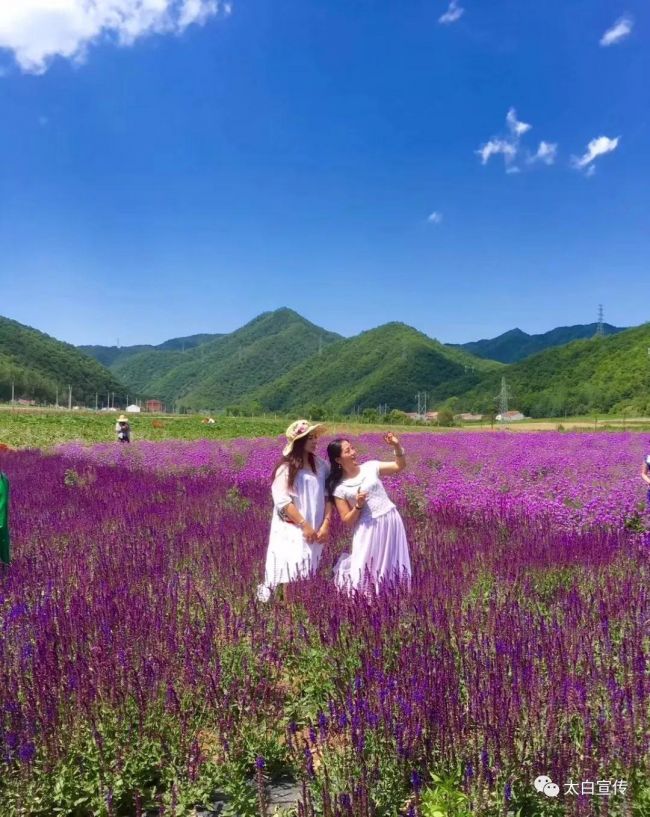 微信图片_20180613085030
