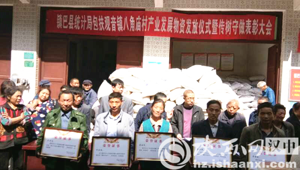 图片6