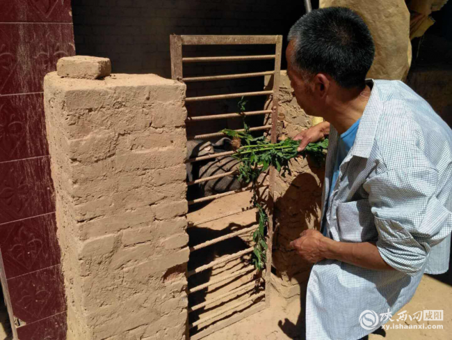 图片4