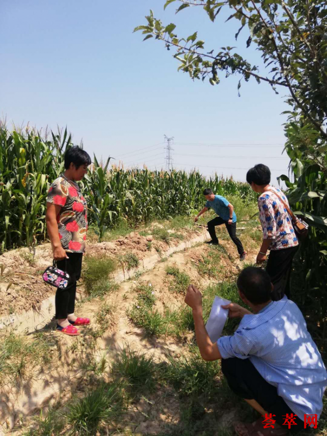 深入田间地头查看诉争土地