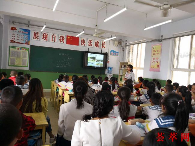 （1）新教师亮相课