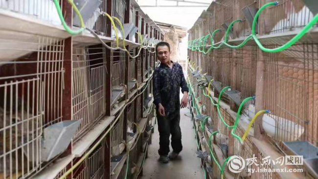 图片1