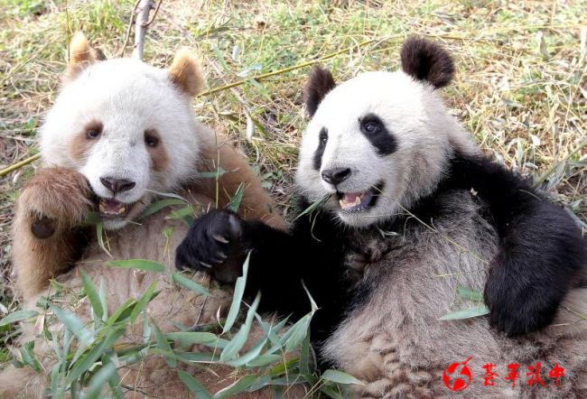 微信图片_20180519141032_副本