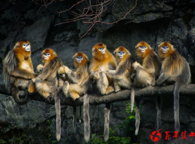 微信图片_20180519141005_副本