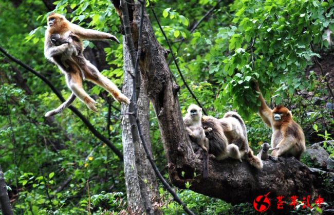 微信图片_20180519141018_副本