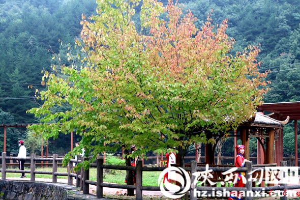 微信图片_20190908132426_副本_副本