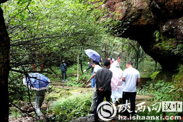 微信图片_20190908132402_副本_副本