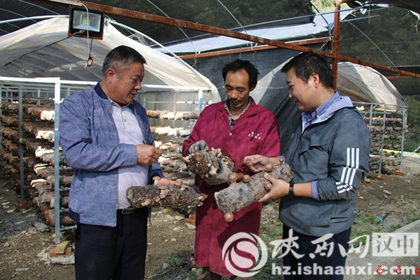微信图片_20190926074730_副本