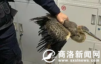 QQ图片20191018210441.png