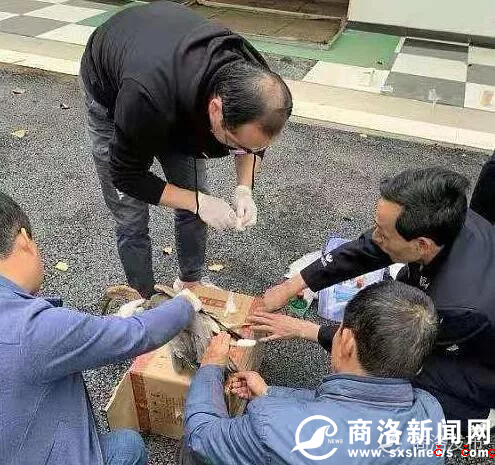 QQ图片20191018210444.png