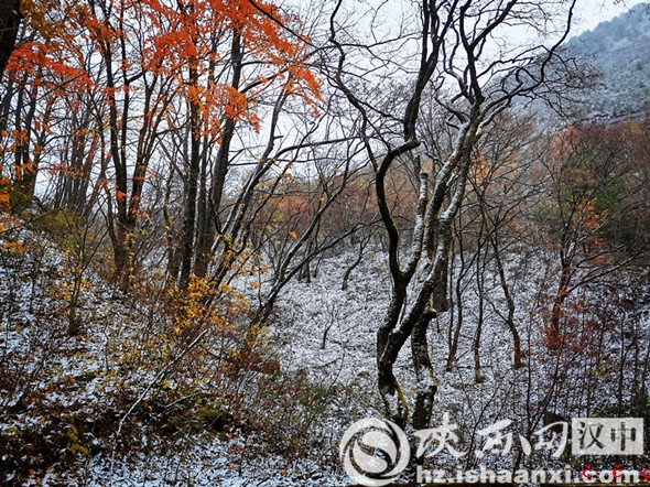 微信图片_20191024121925