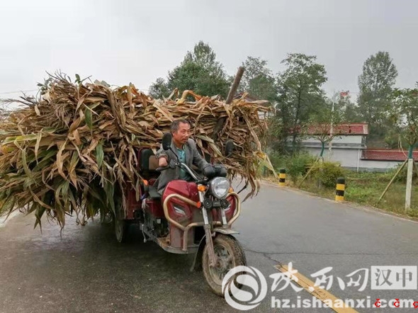微信图片_20191028100251_副本