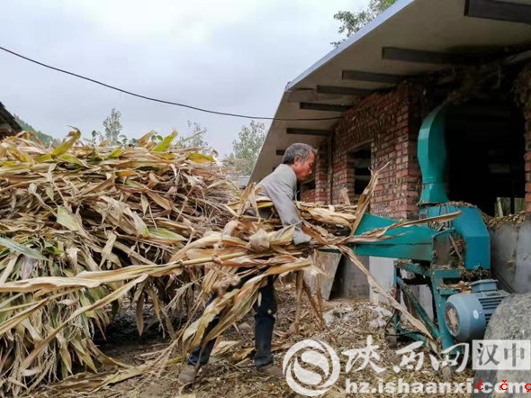 微信图片_20191028100256_副本