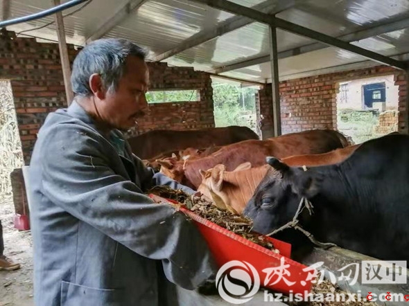 微信图片_20191028100303_副本