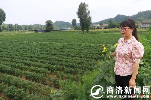 微信图片_20190729190458.jpg