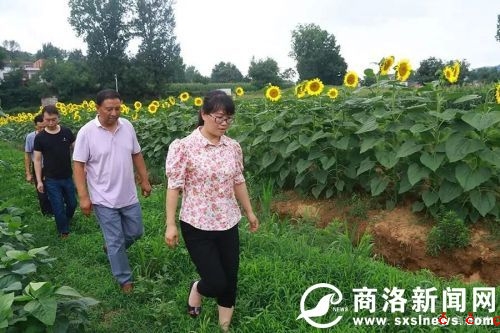 微信图片_20190729190501.jpg