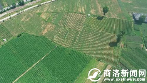 微信图片_20190729190441.jpg