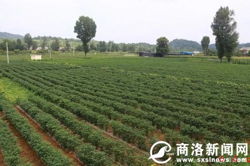 微信图片_20190729190510.jpg