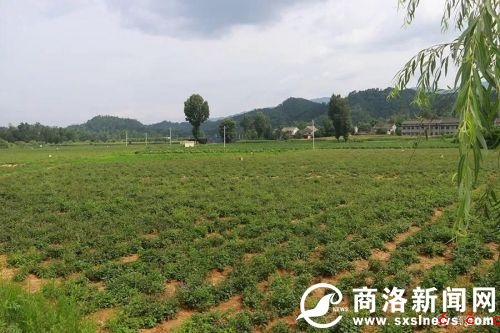 微信图片_20190729190449.jpg