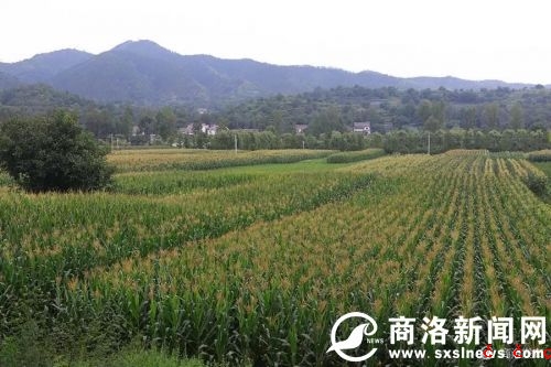 微信图片_20190729190454.jpg