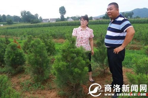 微信图片_20190729190507.jpg