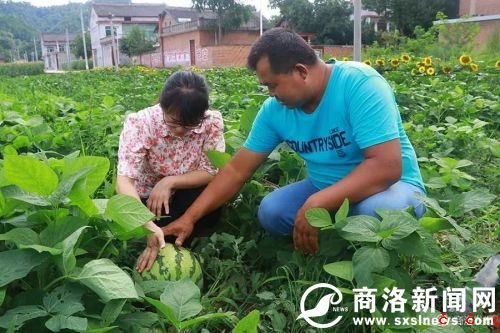 微信图片_20190729190520.jpg