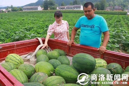 微信图片_20190729190523.jpg