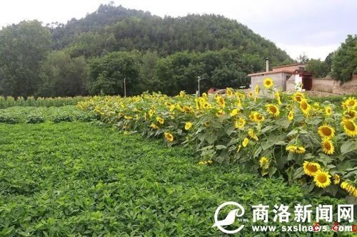 微信图片_20190729190530.jpg