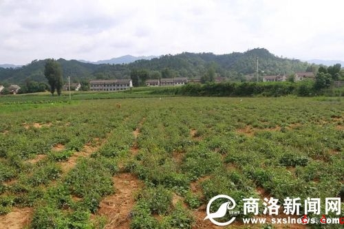 微信图片_20190729190516.jpg