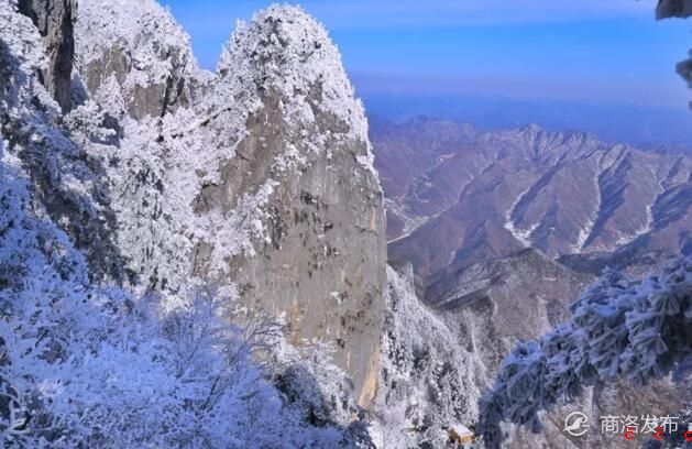 QQ截图20191125173515.jpg