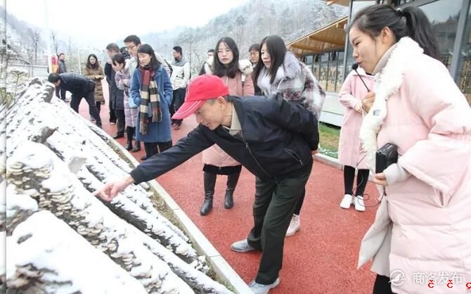 QQ截图20191129144852.jpg