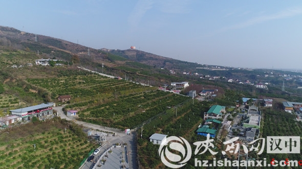 DJI_0031