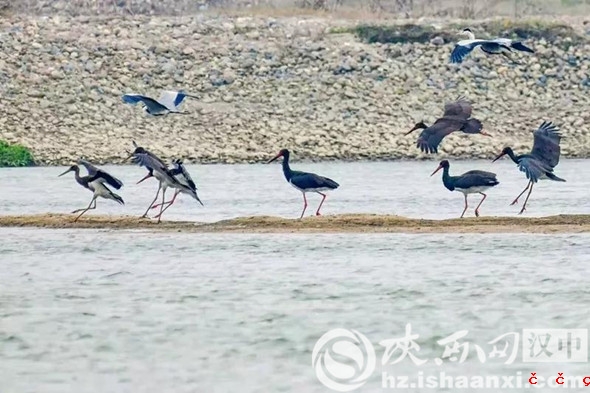 微信图片_20191217151849