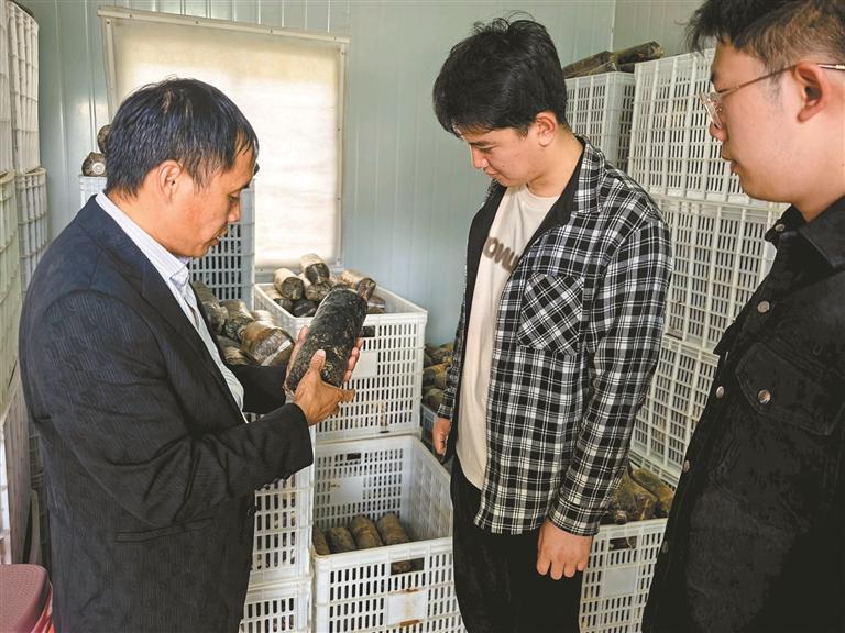 实验室搬进田间 新技术直通车间