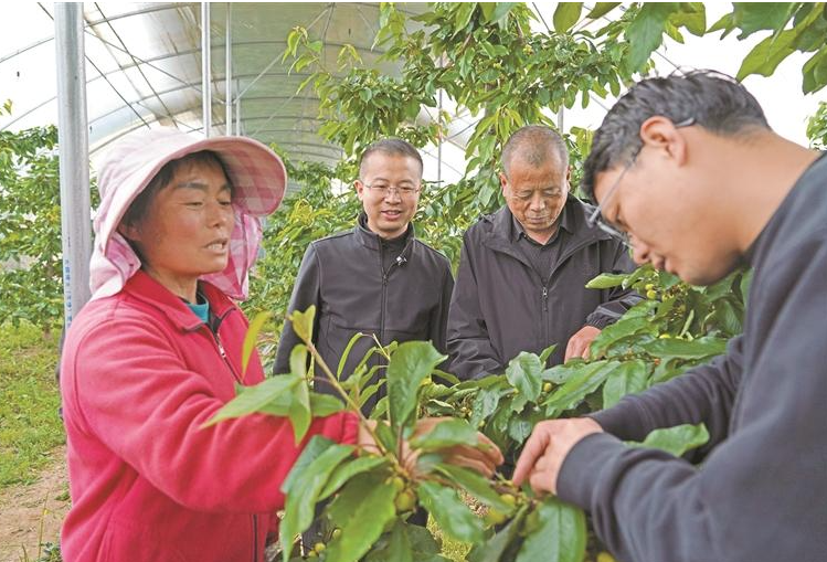 印台区：第一书记助力深山好物“出圈”