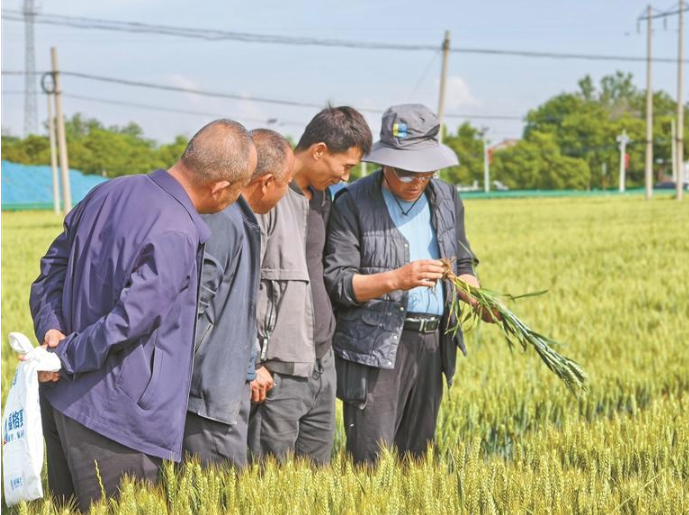 把科研阵地搬到田间地头
