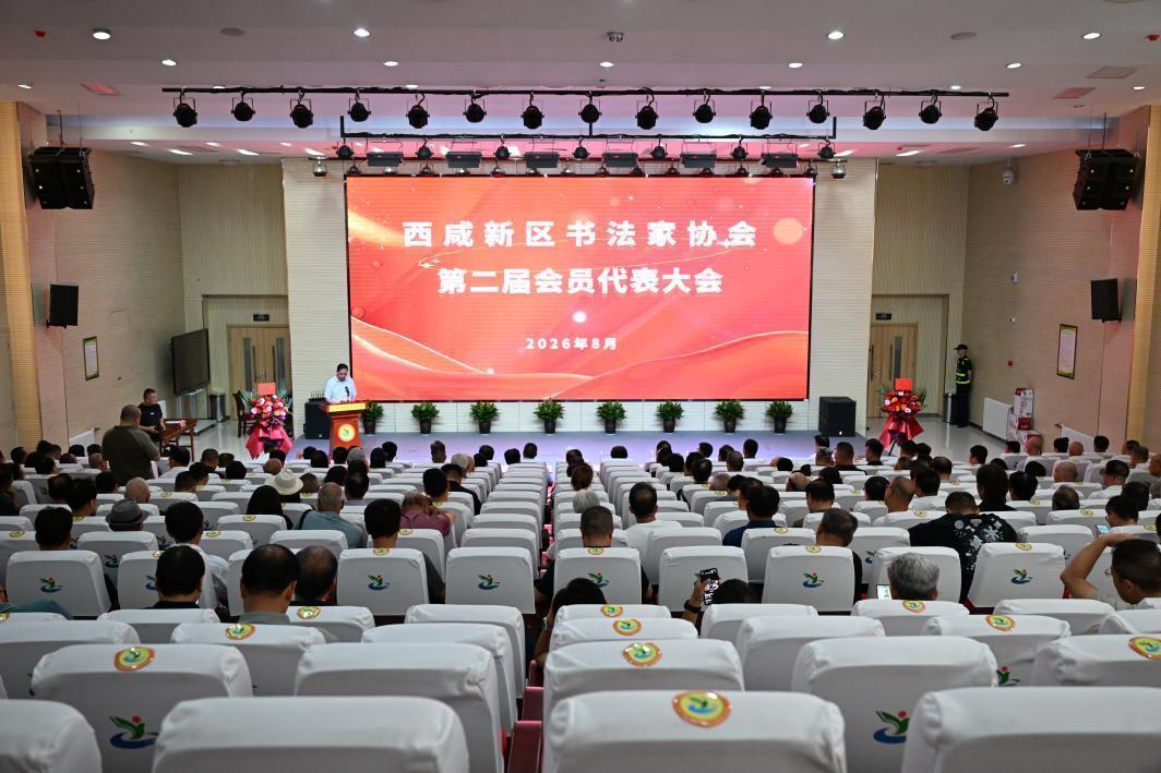 西咸新区书协换届 麻天阔连任主席